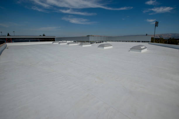 Best Chimney Flashing Repair  in Meadowlakes, TX