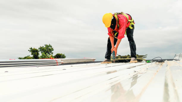 Best Chimney Flashing Repair  in Meadowlakes, TX