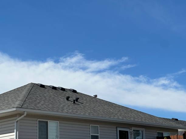 Best Gutter Installation and Repair  in Meadowlakes, TX